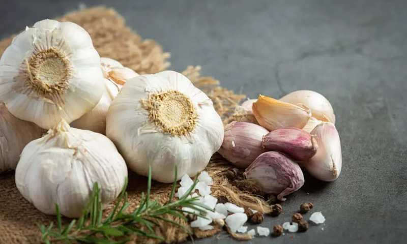 garlic-herpes-treatment